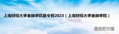 上海财经大学金融学院 上海财经大学金融学院夏令营2023