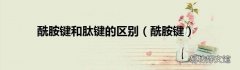 酰胺键 酰胺键和肽键的区别