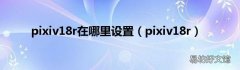 pixiv18r pixiv18r在哪里设置