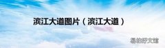 滨江大道 滨江大道图片