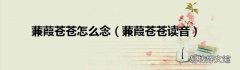 蒹葭苍苍读音 蒹葭苍苍怎么念