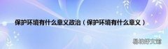 保护环境有什么意义 保护环境有什么意义政治