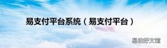 易支付平台 易支付平台系统