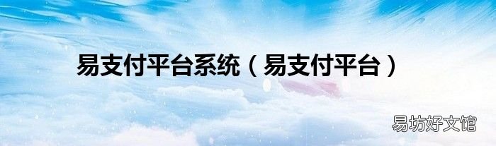 易支付平台 易支付平台系统