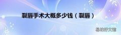 裂唇 裂唇手术大概多少钱
