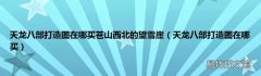 天龙八部打造图在哪买 天龙八部打造图在哪买苍山西北的望雪崖