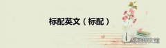 标配 标配英文
