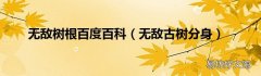 无敌古树分身 无敌树根百度百科