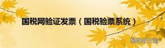 国税验票系统 国税网验证发票