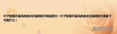叶子的离开是风的追求还是树的不挽留下句是什么 叶子的离开是风的追求还是树的不挽留原文