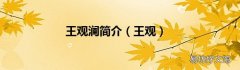 王观 王观澜简介