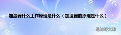 加湿器的原理是什么 加湿器什么工作原理是什么