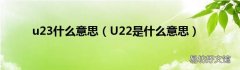 U22是什么意思 u23什么意思