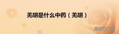 羌胡 羌胡是什么中药