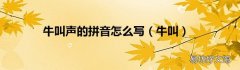 牛叫 牛叫声的拼音怎么写