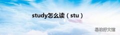 stu study怎么读