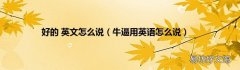 牛逼用英语怎么说 好的 英文怎么说
