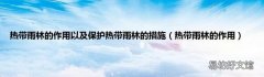 热带雨林的作用 热带雨林的作用以及保护热带雨林的措施