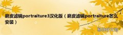 磨皮滤镜portraiture怎么安装 磨皮滤镜portraiture3汉化版