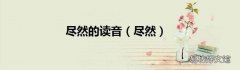 尽然 尽然的读音