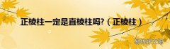 正棱柱 正棱柱一定是直棱柱吗?