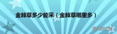 金棘草哪里多 金棘草多少能采