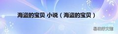 海盗的宝贝 海盗的宝贝 小说