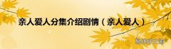 亲人爱人 亲人爱人分集介绍剧情