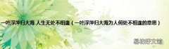 一叶浮萍归大海为人何处不相逢的意思 一叶浮萍归大海 人生无处不相逢