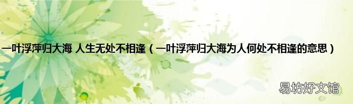 一叶浮萍归大海为人何处不相逢的意思 一叶浮萍归大海 人生无处不相逢