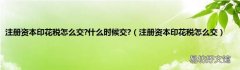 注册资本印花税怎么交 注册资本印花税怎么交?什么时候交?