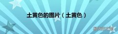土黄色 土黄色的图片