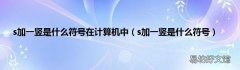 s加一竖是什么符号 s加一竖是什么符号在计算机中