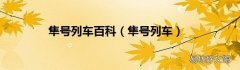 隼号列车 隼号列车百科