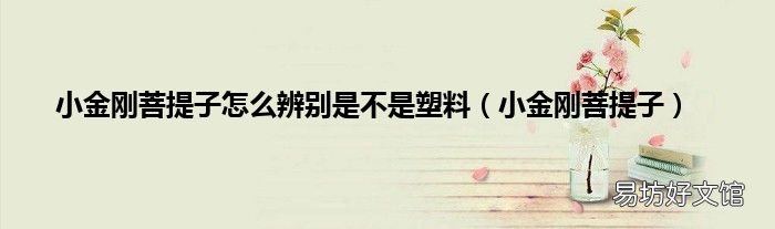小金刚菩提子 小金刚菩提子怎么辨别是不是塑料