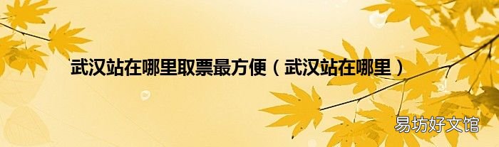 武汉站在哪里 武汉站在哪里取票最方便