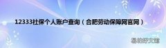 合肥劳动保障网官网 12333社保个人账户查询