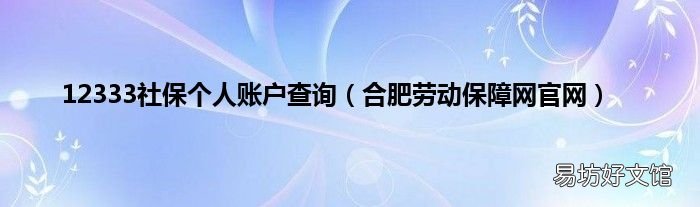 合肥劳动保障网官网 12333社保个人账户查询