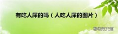 人吃人屎的图片 有吃人屎的吗