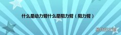 阻力臂 什么是动力臂什么是阻力臂