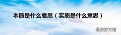 实质是什么意思 本质是什么意思
