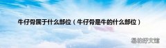牛仔骨是牛的什么部位 牛仔骨属于什么部位