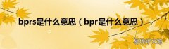 bpr是什么意思 bprs是什么意思