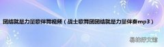 战士歌舞团团结就是力量伴奏mp3 团结就是力量歌伴舞视频