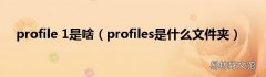 profiles是什么文件夹 profile 1是啥
