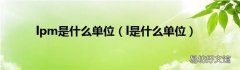 l是什么单位 lpm是什么单位