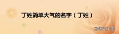 丁姓 丁姓简单大气的名字