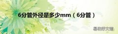 6分管 6分管外径是多少mm