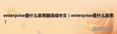 enterprise是什么意思 enterprise是什么意思翻译成中文
