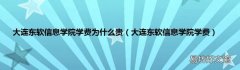 大连东软信息学院学费 大连东软信息学院学费为什么贵